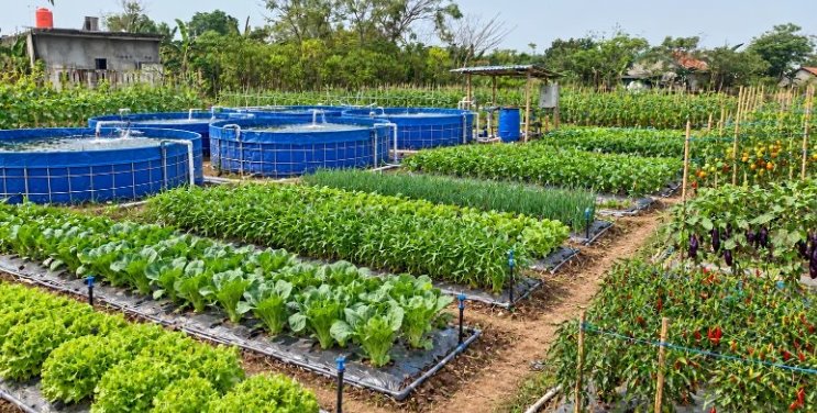 Lahan As-Shofa Integrated Farming